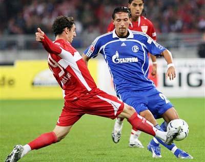 椰子树不仅 椰子树不仅